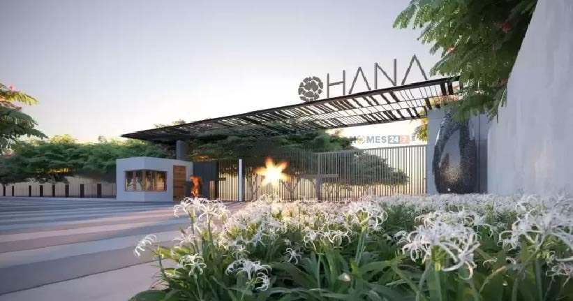 Ohana-cover-06